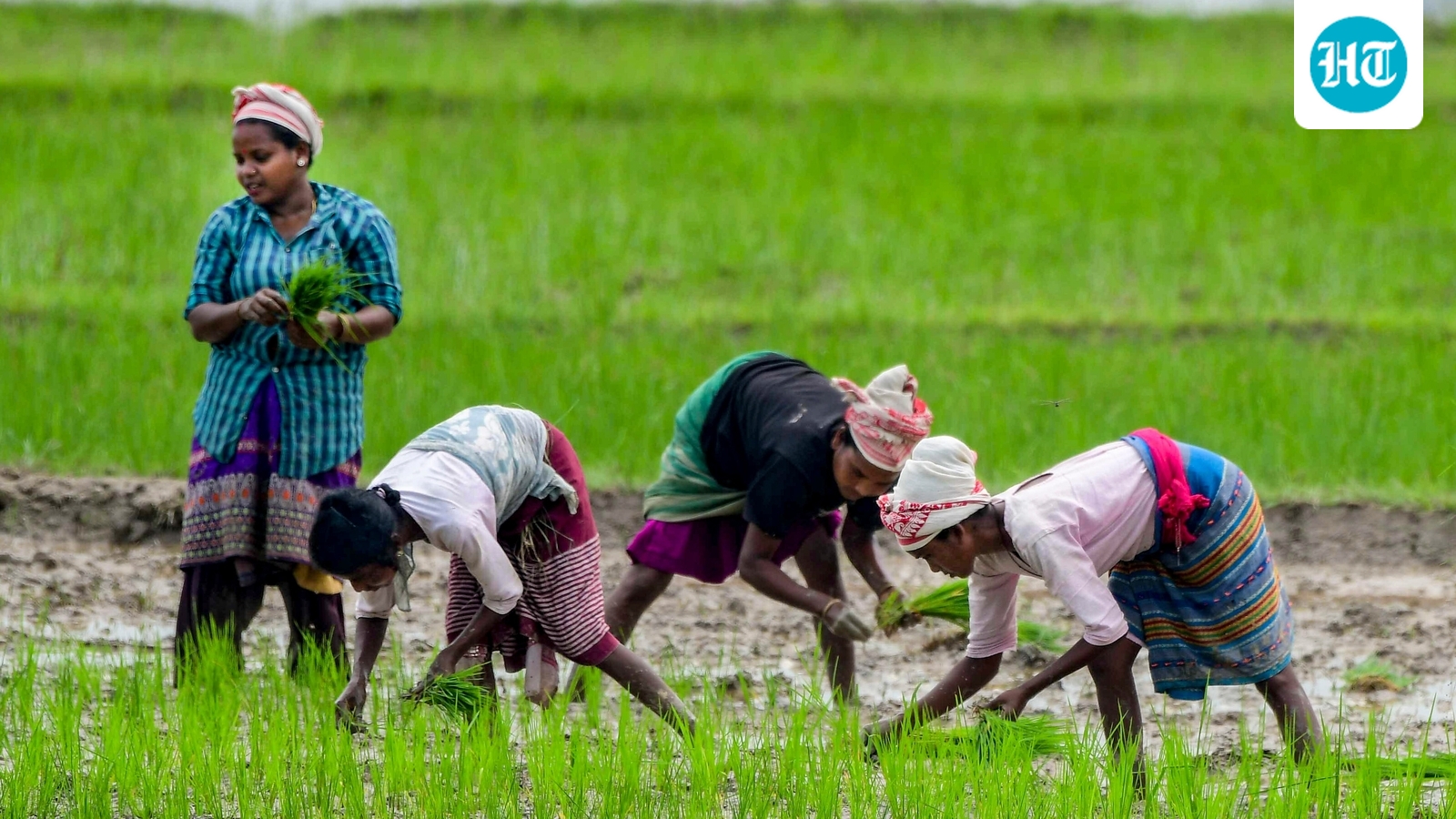 VB-G Ram G to introduce new daily wage system for persons with disabilities, women and senior citizens