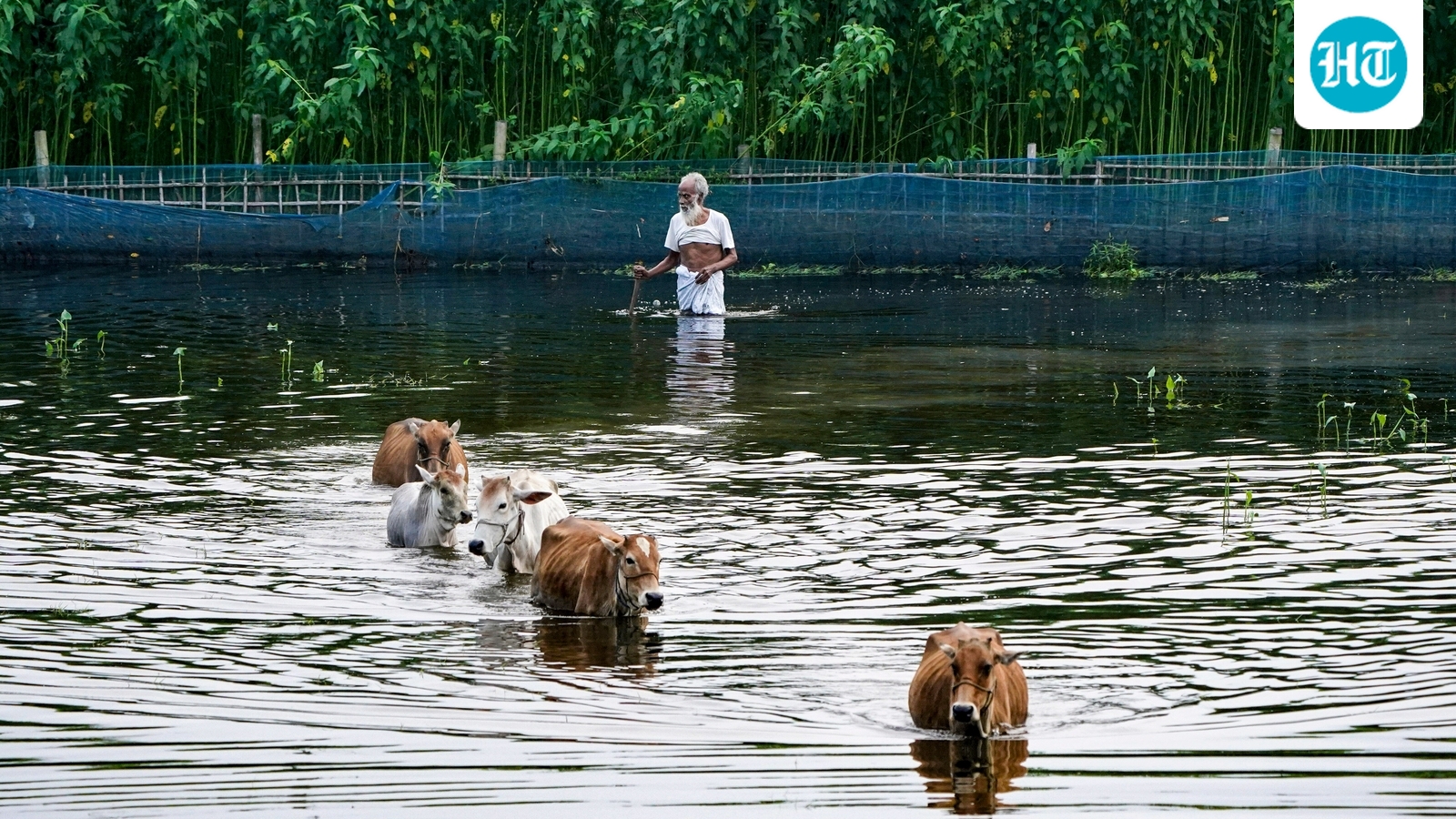 Why does Assam flood every year? It's not just the rain, expert says