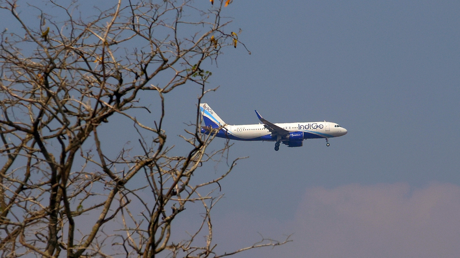 'Who is responsible?': Delhi HC asks Centre amid IndiGo crisis, fare surge