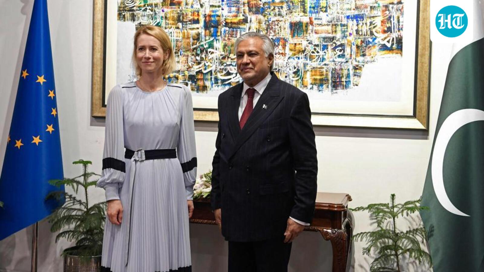‘No locus standi’: India blasts Pak-EU joint statement on Jammu and Kashmir