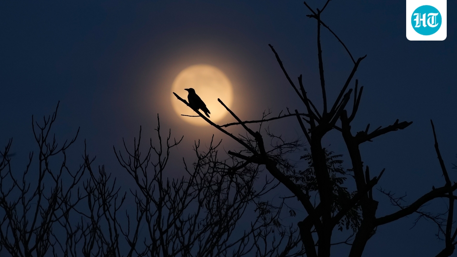 Why is the moon bigger tonight? Name of December full moon explained; see pics