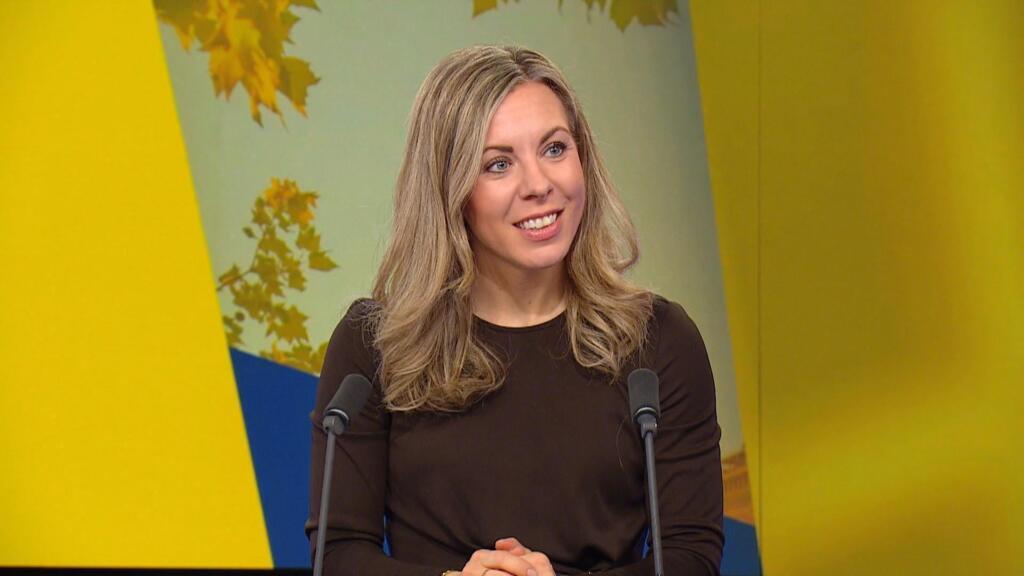 'We should be able to open up negotiations' with Ukraine, Sweden's EU minister says