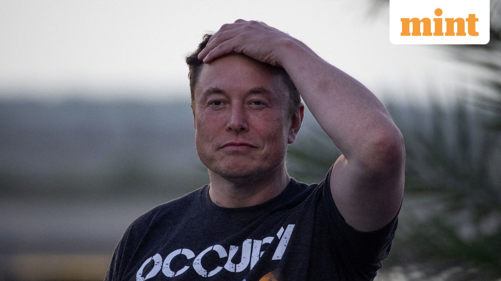 Elon Musk doubles down on Grok Imagine after OpenAI's Sora shutdown: ‘Future of AI is…’
