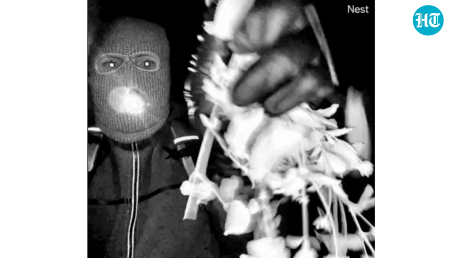 Nancy Guthrie update: Police break silence after ‘suspect in different stages of attire’ theory sparks buzz