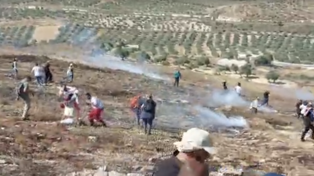 'They’re allowed to do what they want': Palestinians describe surge in settler attacks