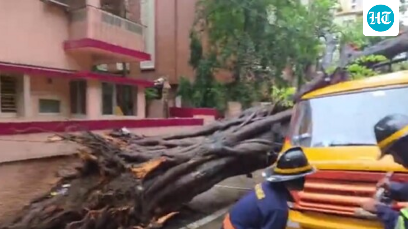 Student dies after tree falls on school bus in Mumbai's Chembur, 4 admitted to hospital
