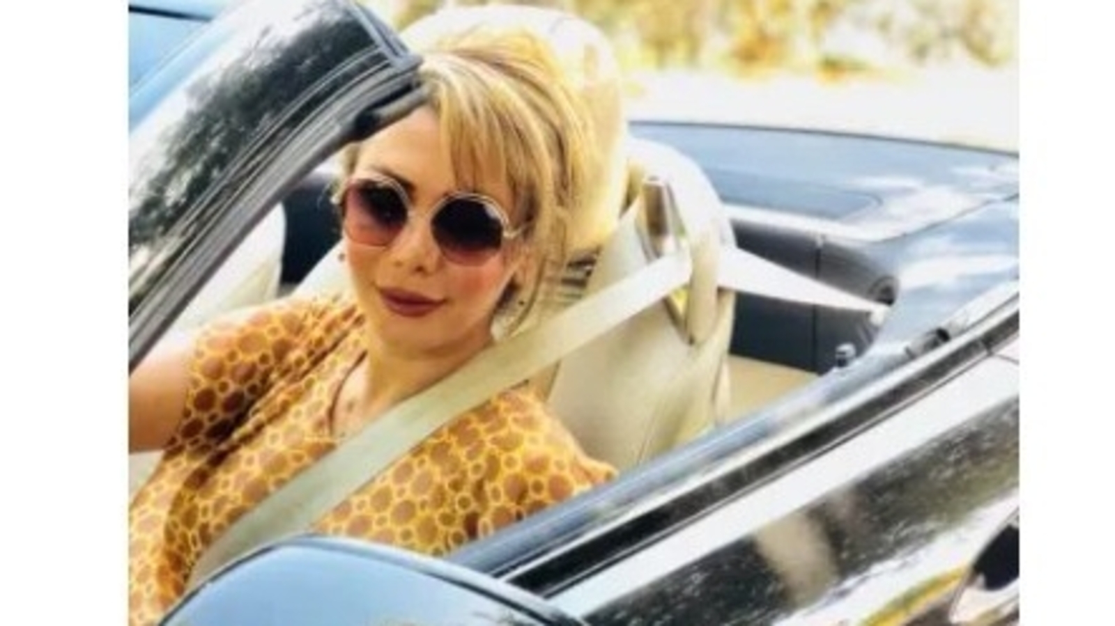 Who is Shamim Mafi? Iranian entrepreneur with Green Card arrested at LAX for arms trafficking