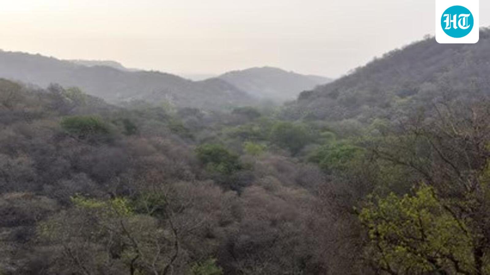 Digitally map forest limits: Govt to states