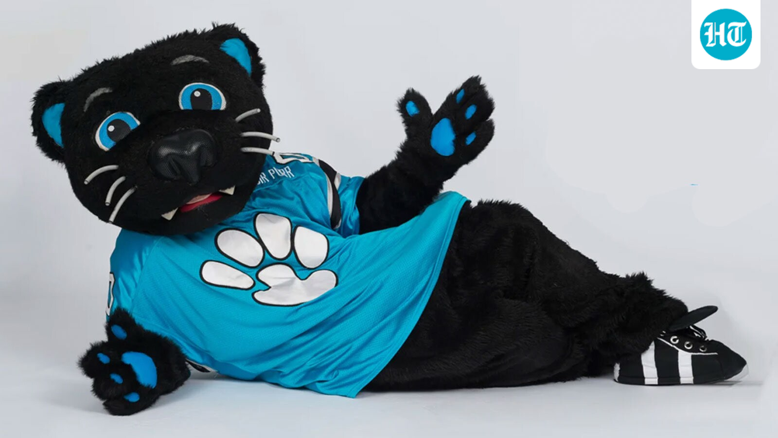 Sir Purr death: Did the performer behind Carolina Panthers mascot pass away? Details