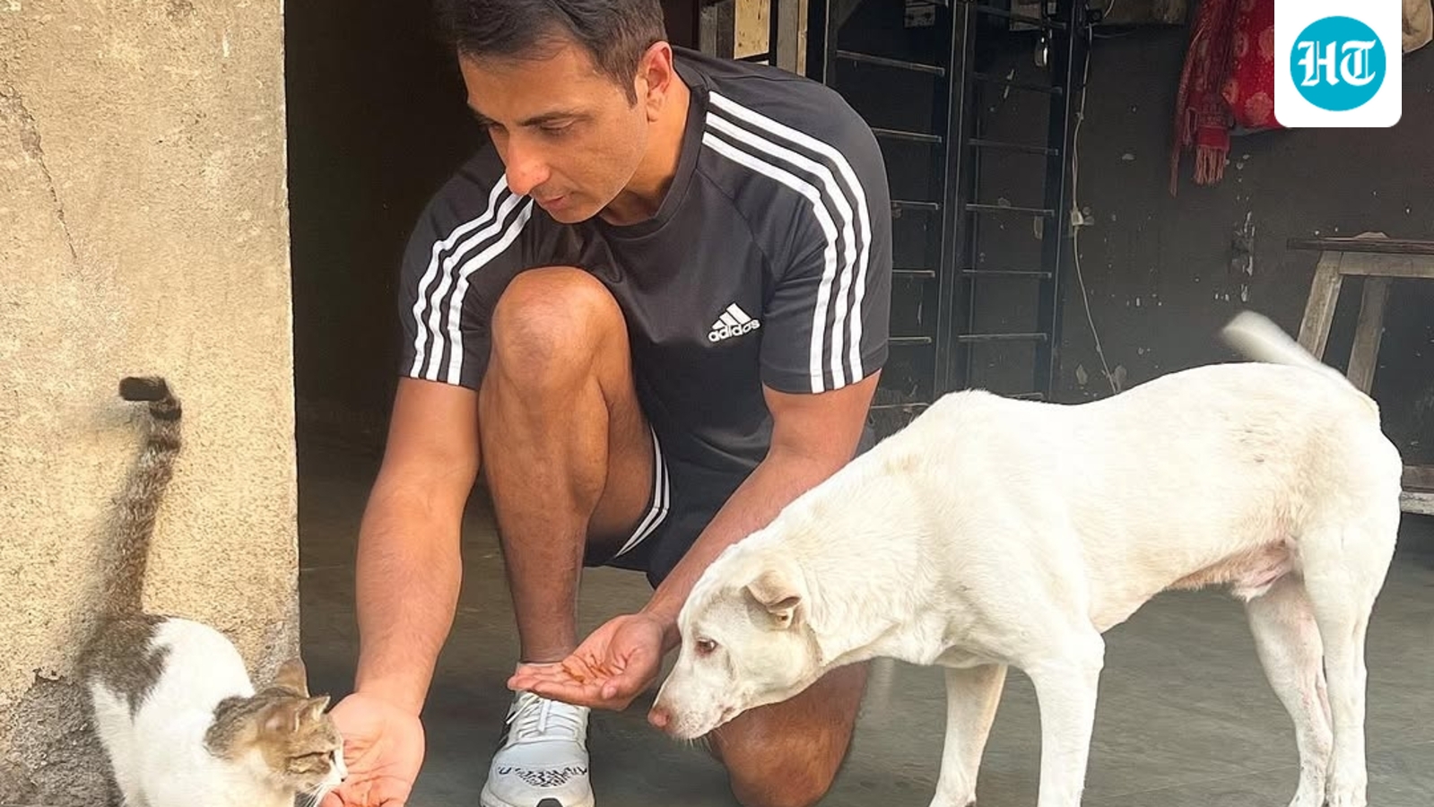 Sonu Sood speaks up after Punjab begins removing stray dogs from public spaces; urges people to adopt and protect them