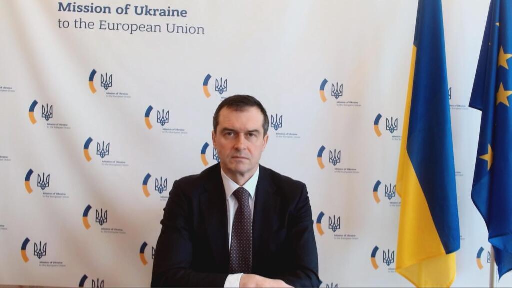 'We will be able to defend Ukraine' thanks to EU loan: Ambassador Vsevolod Chentsov