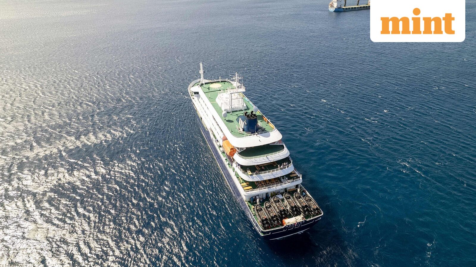 Three dead from Hantavirus on cruise ship, WHO confirms: Symptoms, causes and what you need to know