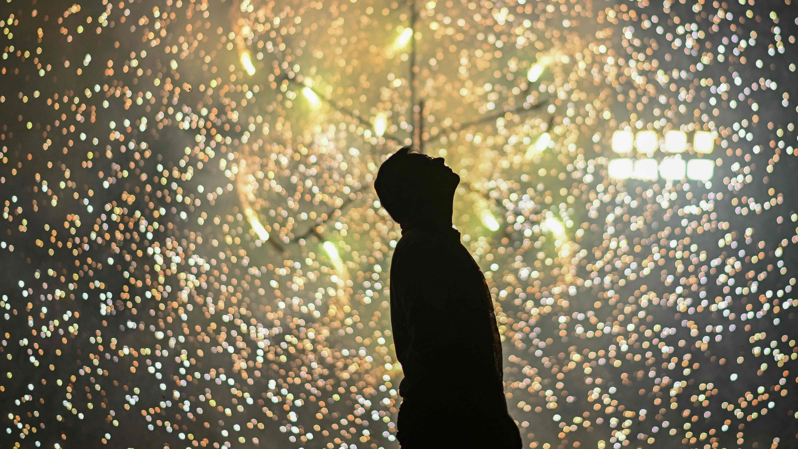 Why Supreme Court allowed sale, bursting of green crackers on Diwali: ‘…smuggled into Delhi-NCR’