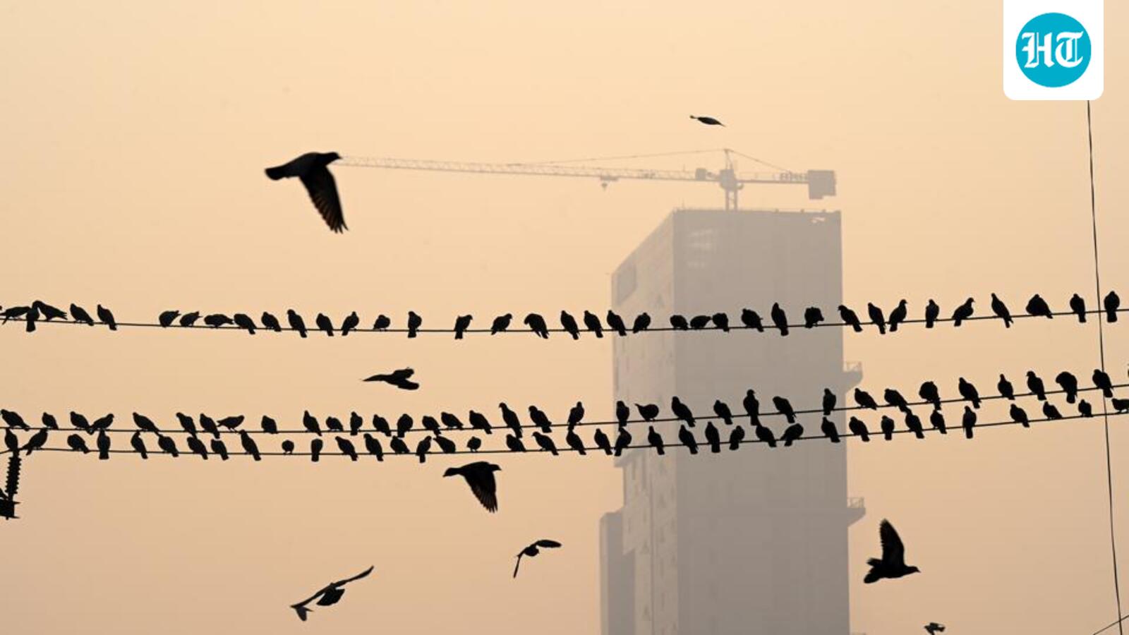 AQI: E-rickshaw curbs among new quick fixes