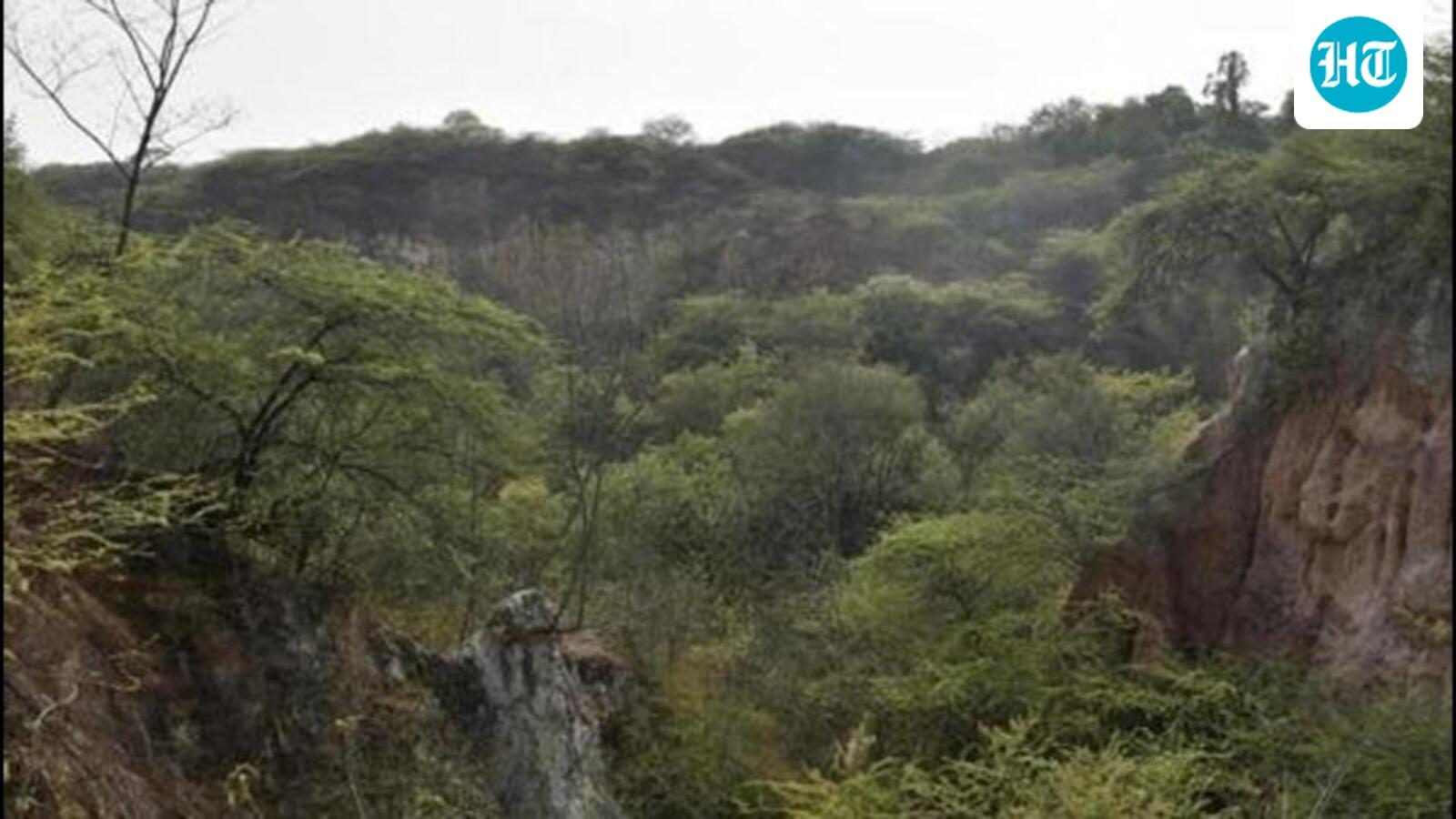 SC orders sustainable mining plan for entire Aravalli range, halts new leases