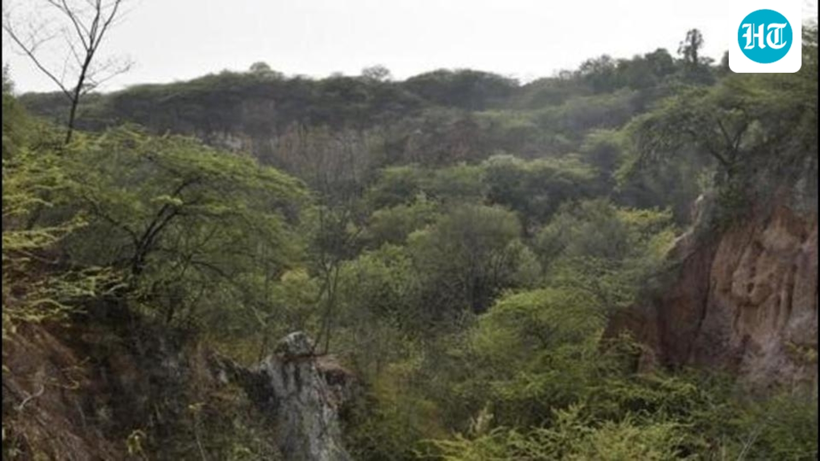 ‘Lifeline', 'Natural shield for NCR': Oppn ramps up criticism on Supreme Court Aravalli order