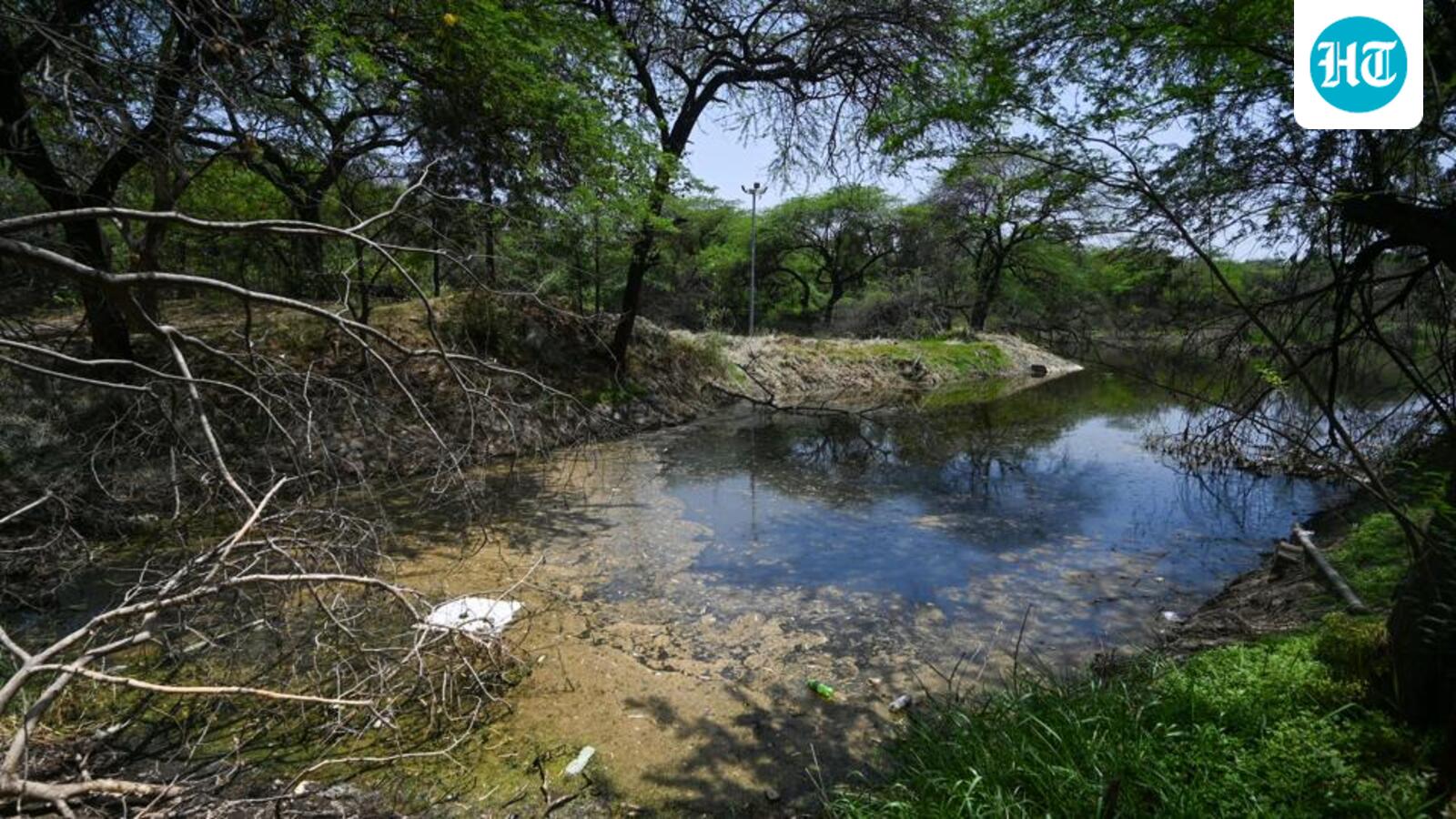 Delhi pollution body directed to analyse Kitchener Lake in Dhaula Kuan
