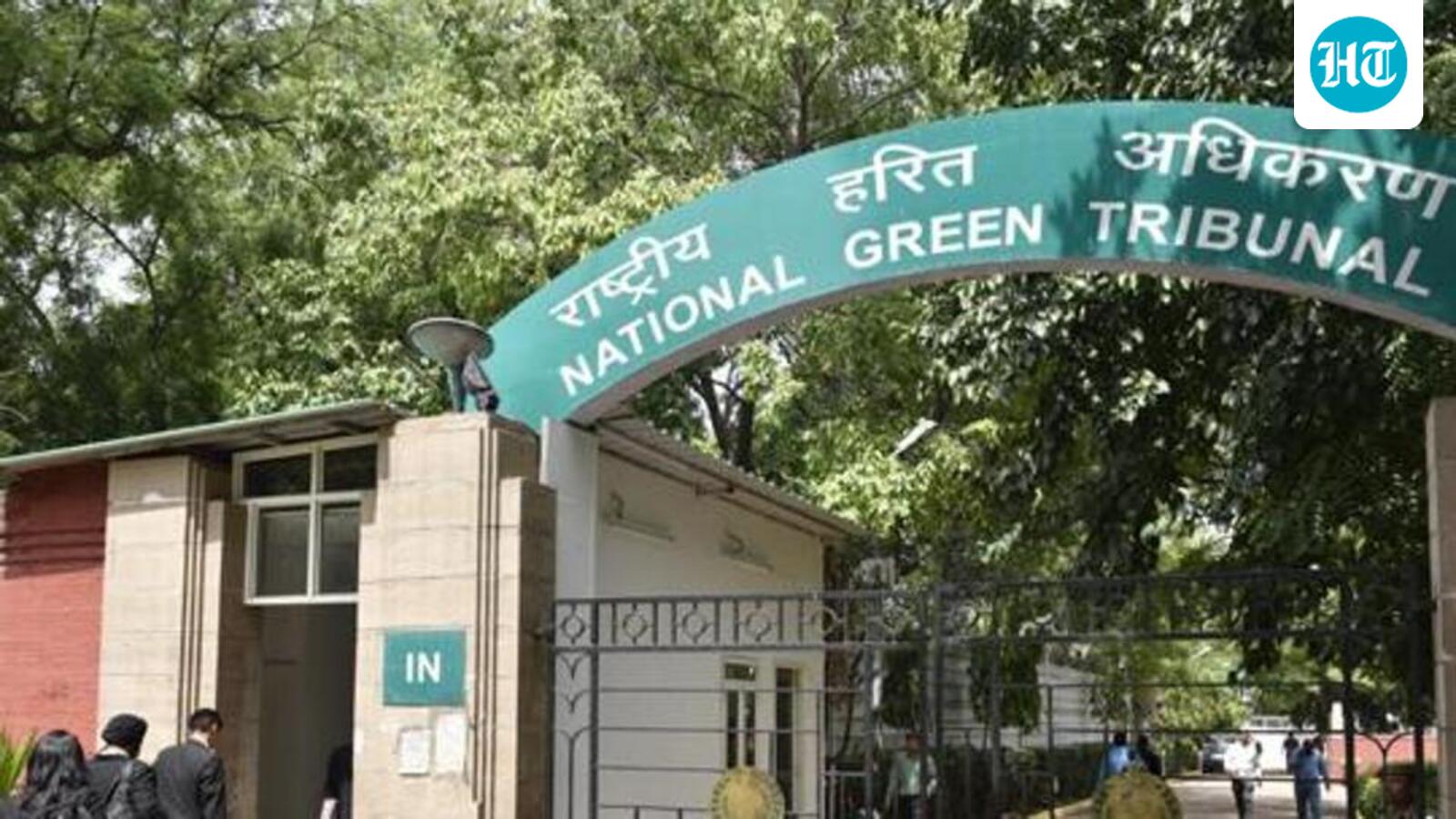 NGT orders probe into deforestation, unauthorised construction at Odisha sanctuary