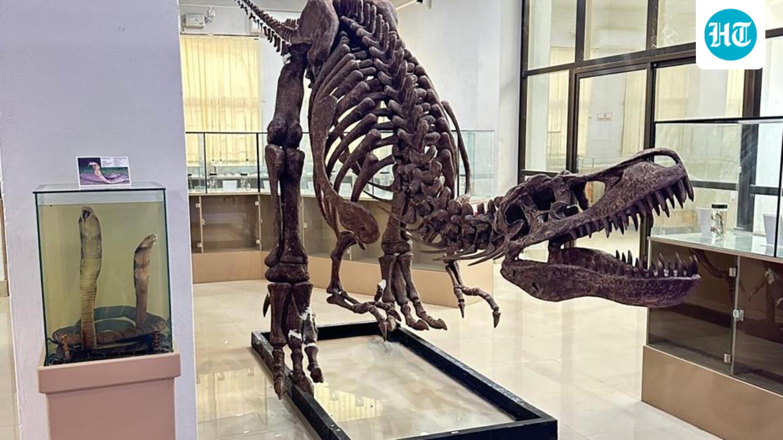 Natural History Museum in Aizawl notified as India’s 21st ‘designated repository’