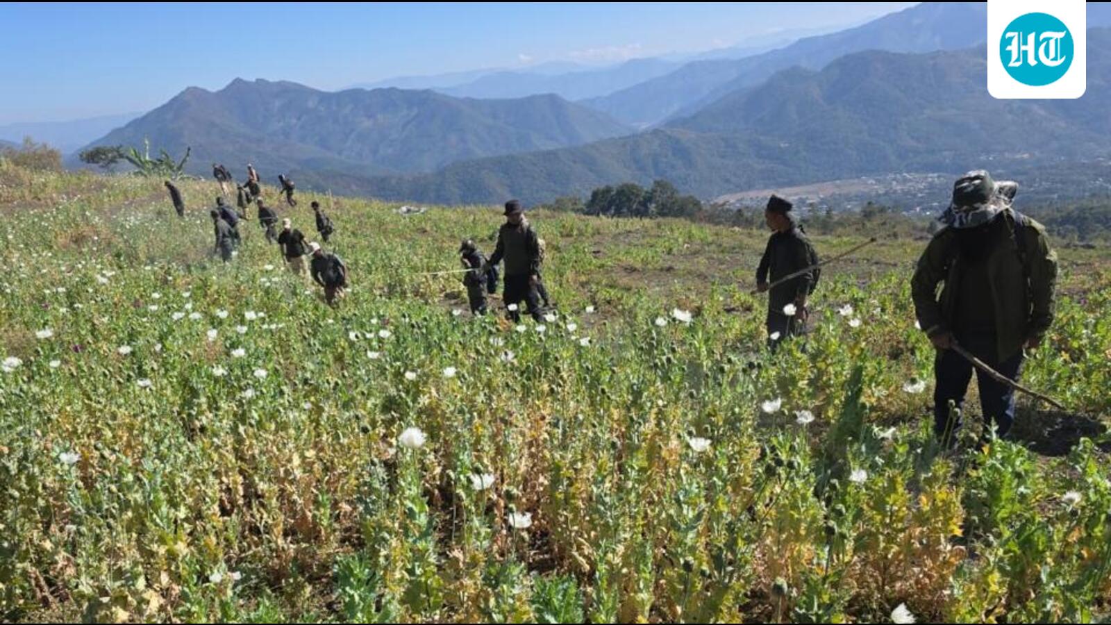 Manipur: Security forces destroy 601 acres of poppy cultivation, seize 9-kg IED
