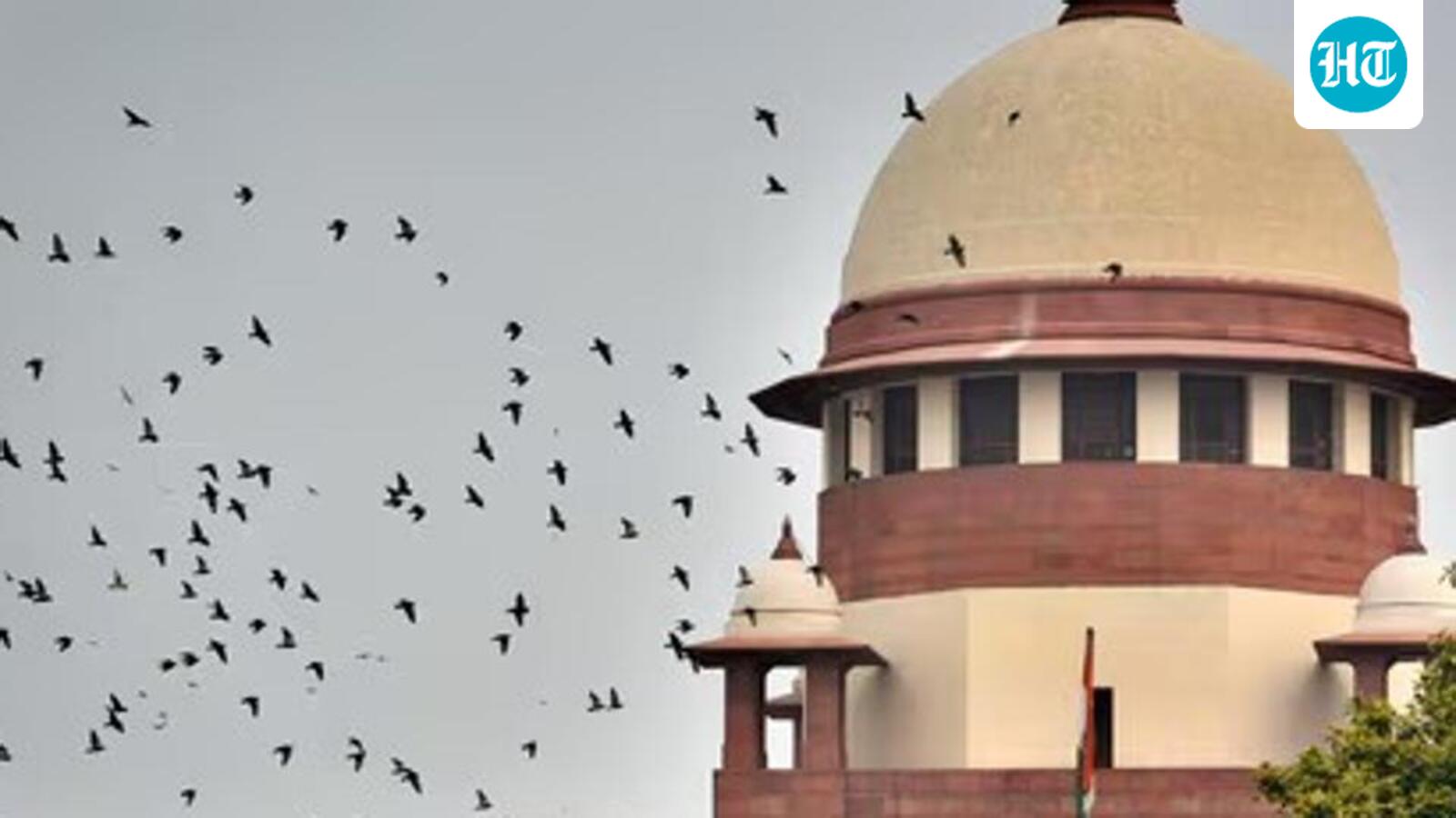 Speedy trial means justice for victims too, says SC