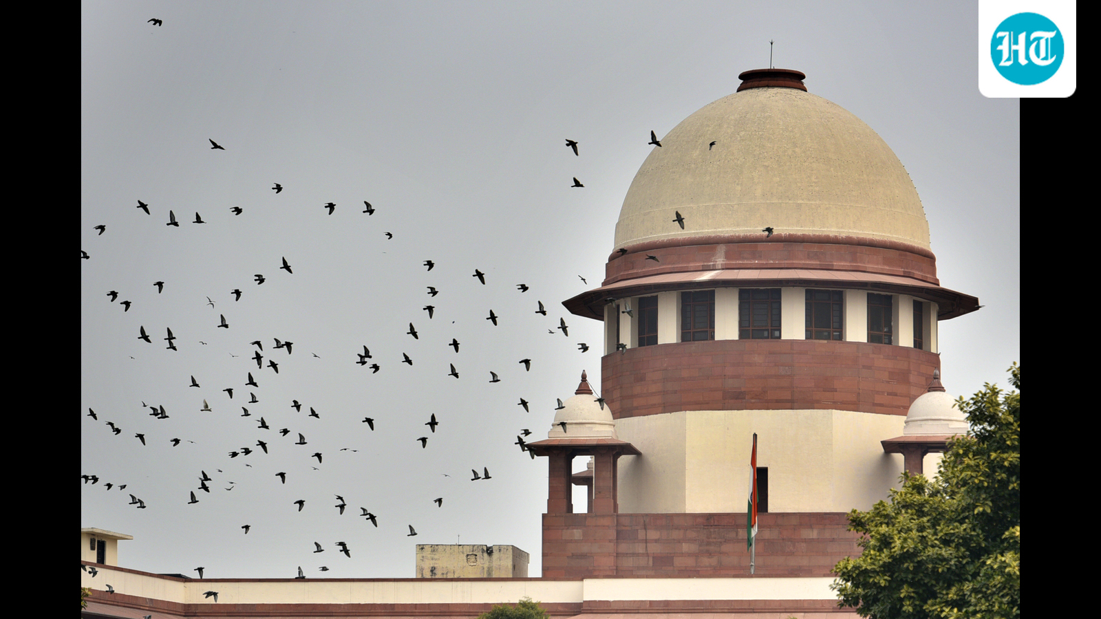 Supreme Court okays 6-month extension for retiring members of tribunals