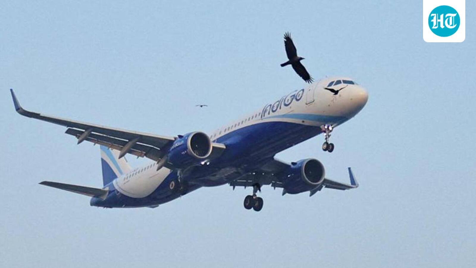Delhi HC seeks Customs reply on IndiGo’s plea seeking refund of  ₹900 cr duty