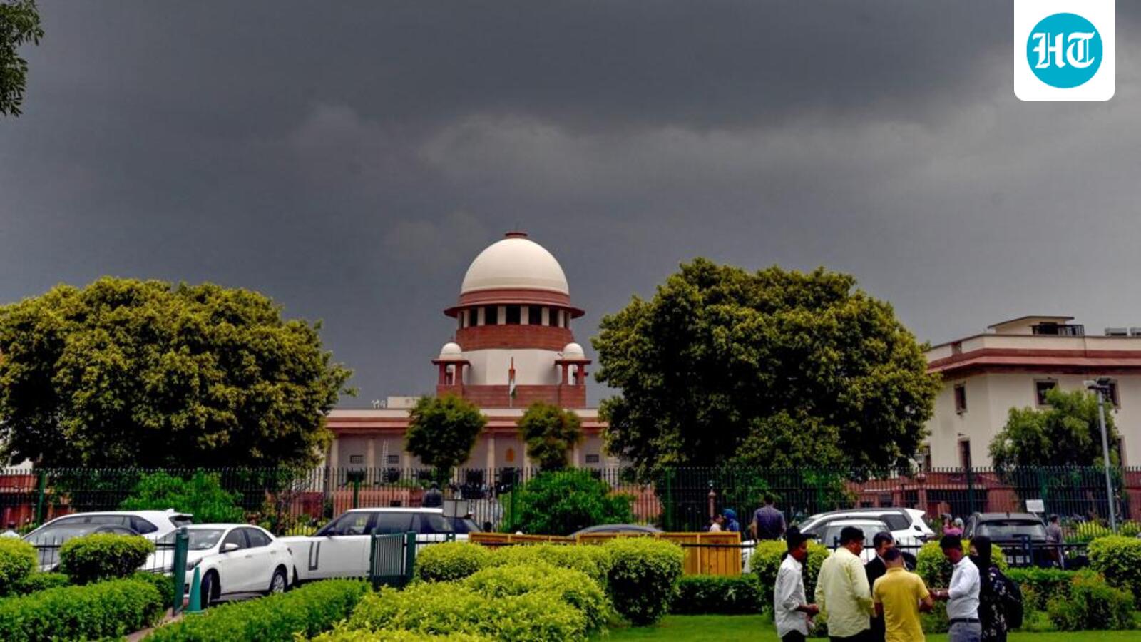 Not asked for dogs’ killing, roads need to be dog-free: SC