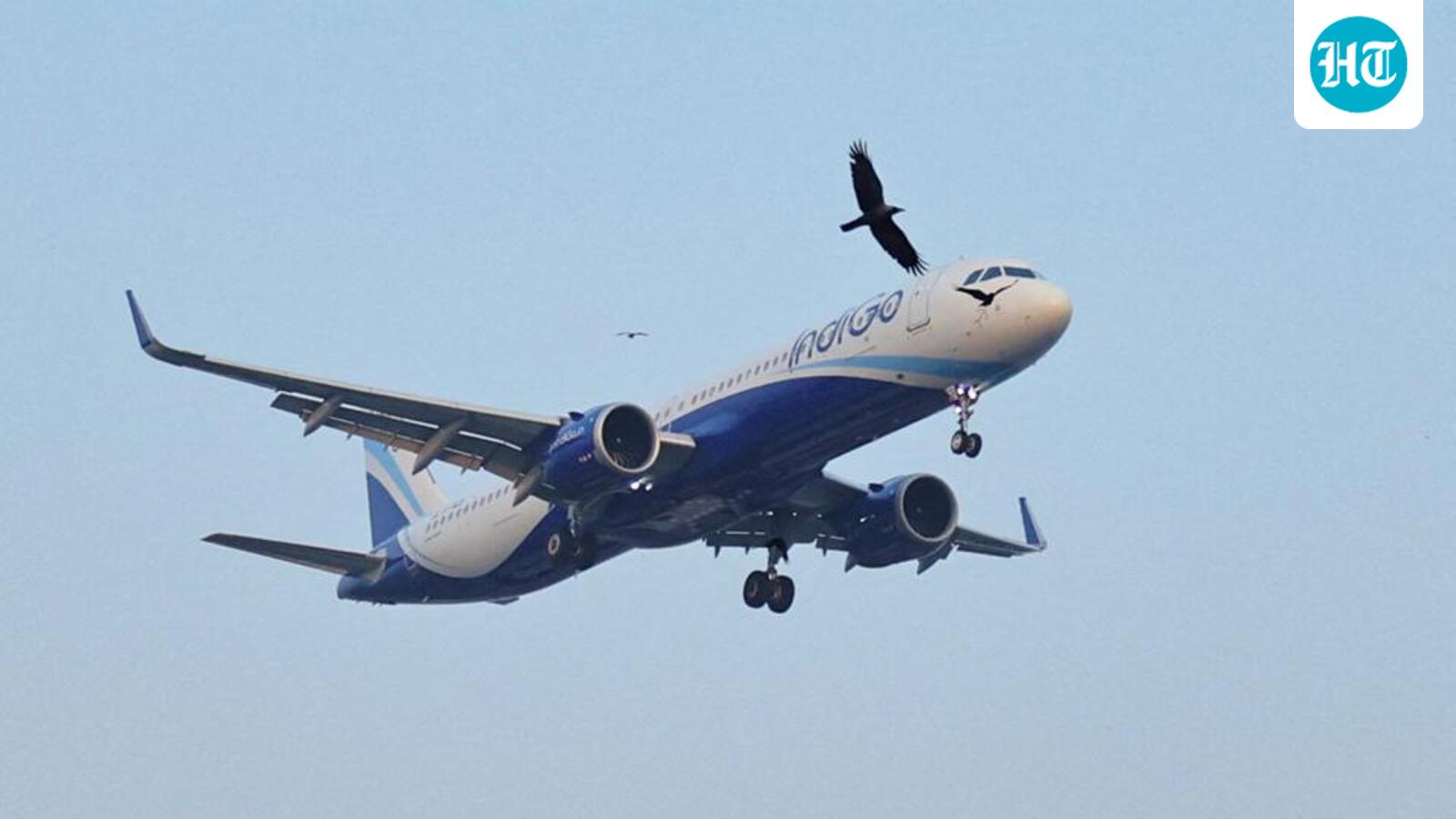 DGCA committee files report on IndiGo chaos, contents confidential