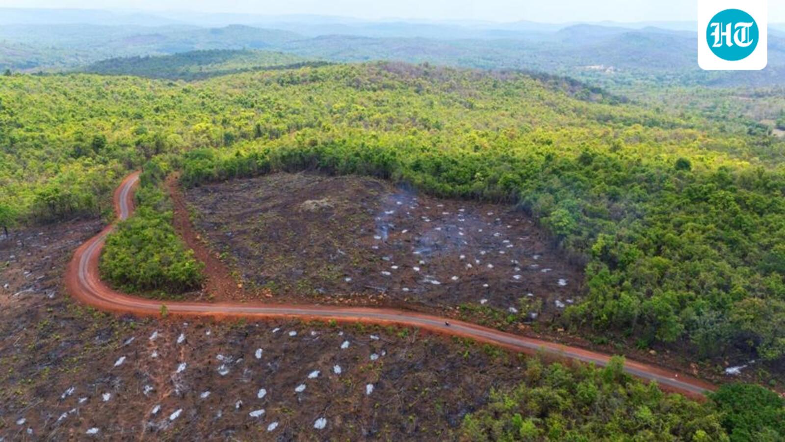 Chhattisgarh forest dept deploys locals at 30 locations in Abujhmad: Officials