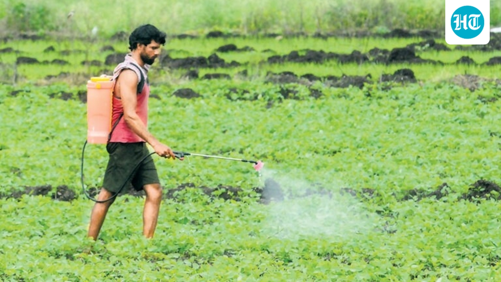 Conflict jolts India’s fertiliser supply, shipping cost doubles