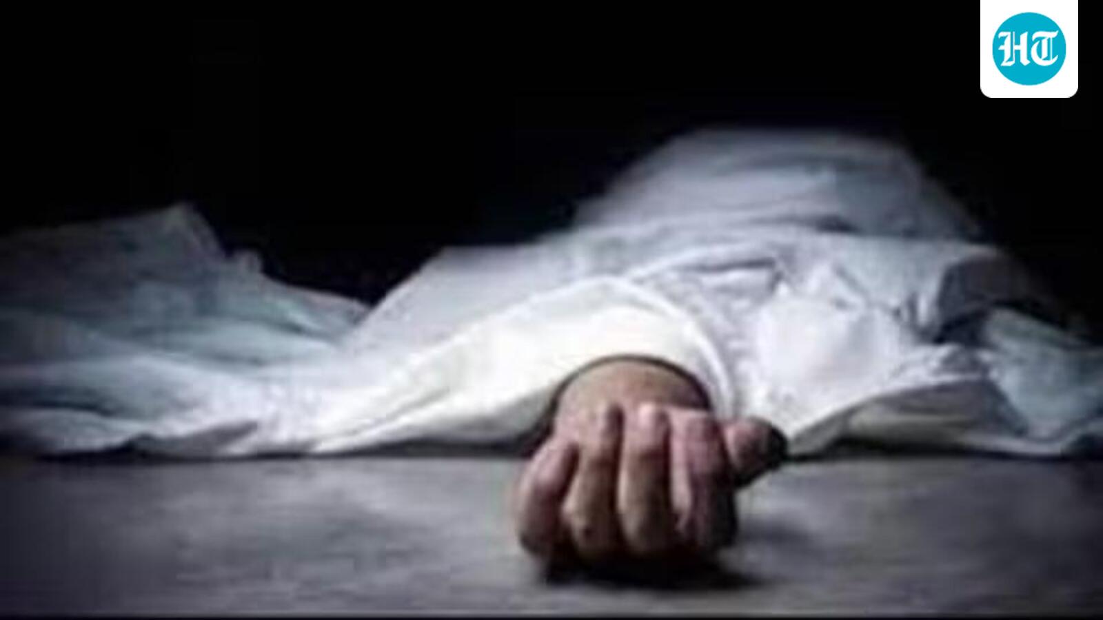 Chhattisgarh: Elephant kills man in Korba district, third death in three days