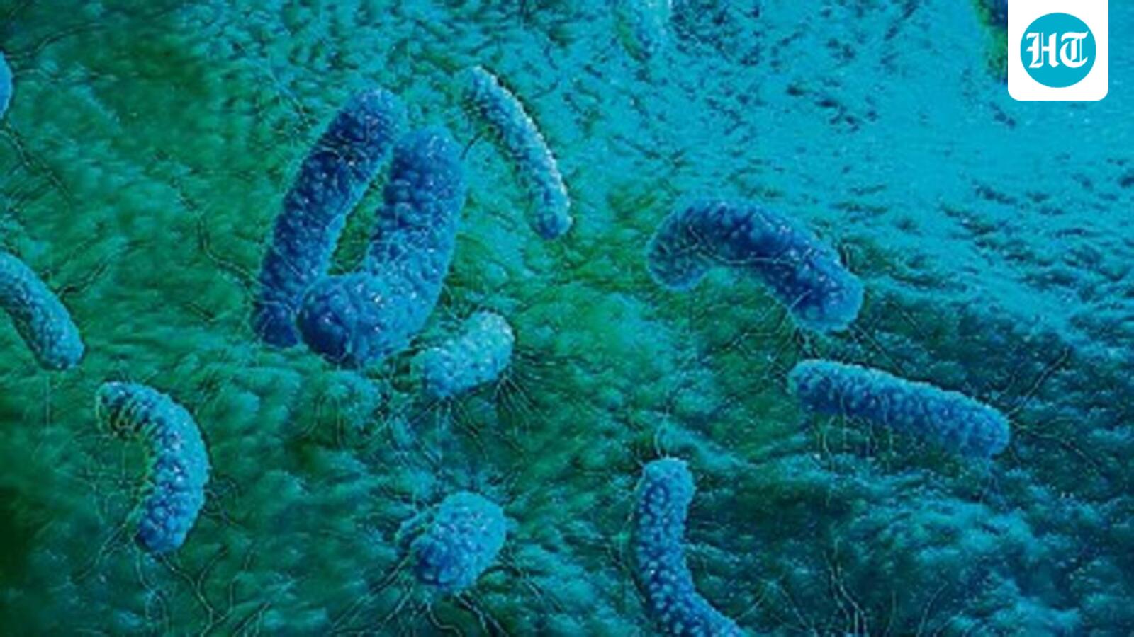 Scientifically Speaking: Can a gut microbe alter human memory?