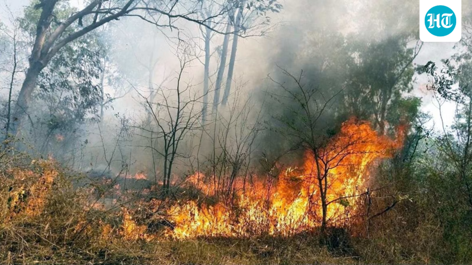 Dry Uttarakhand winter likely reason behind Valley of Flowers forest fire