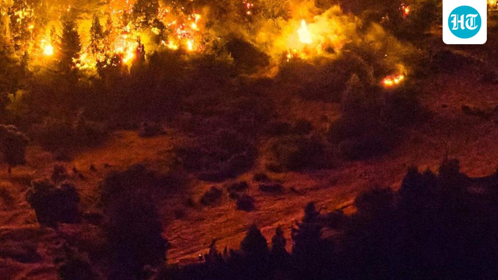 IAF helicopters deployed as fire continues in Dzukou Valley across Nagaland-Manipur