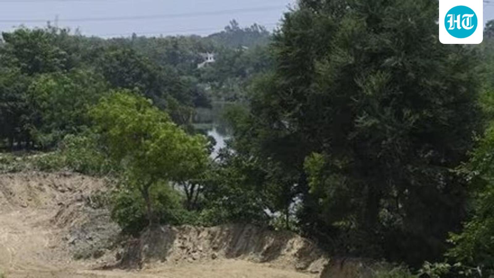 NGT orders probe into mining near Sariska Tiger Reserve, forms joint committee
