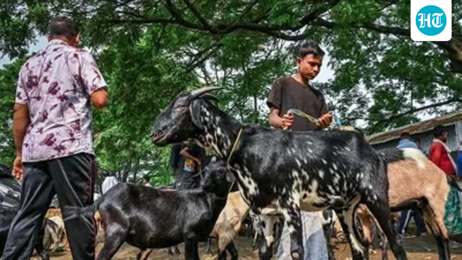 Chhattisgarh Waqf Board urges Muslims to avoid sacrifice in open, public places