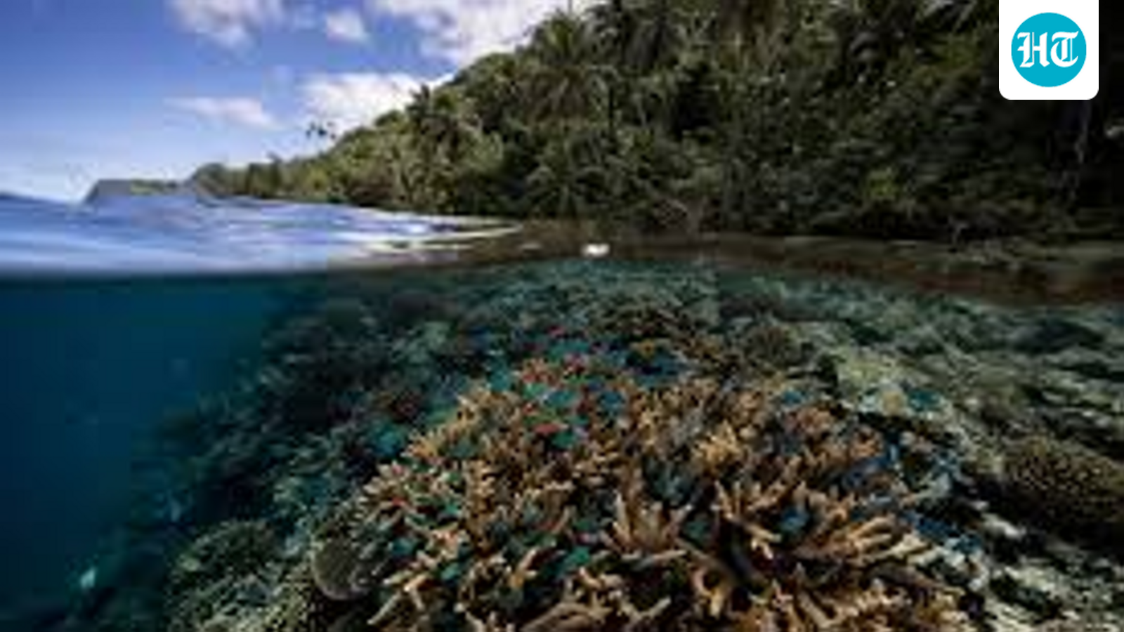 Study identifies climate-resilient reefs worldwide, calls for better protection