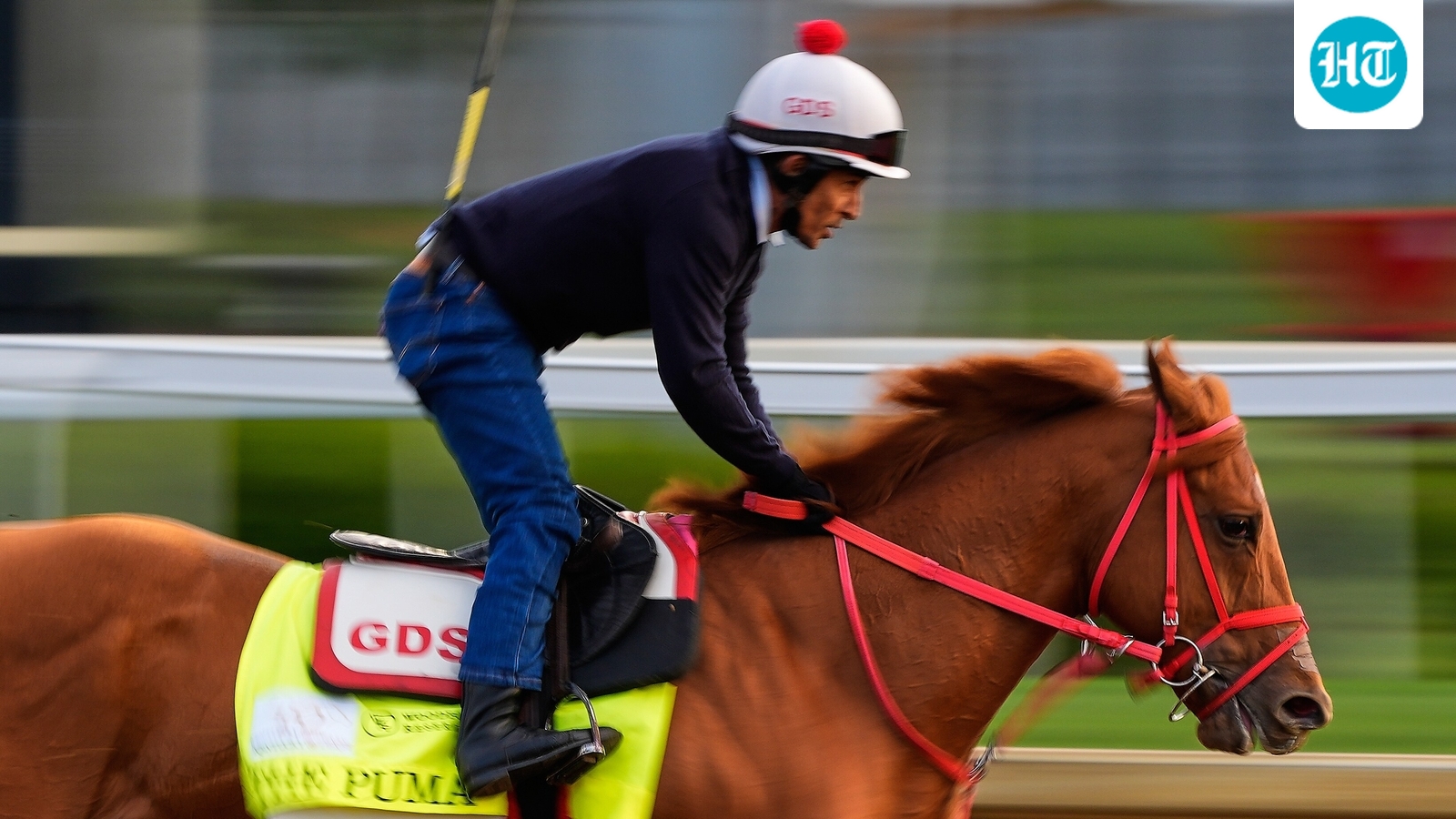 Kentucky Derby: Why The Puma is out of Churchill Downs. Trainer gives latest update