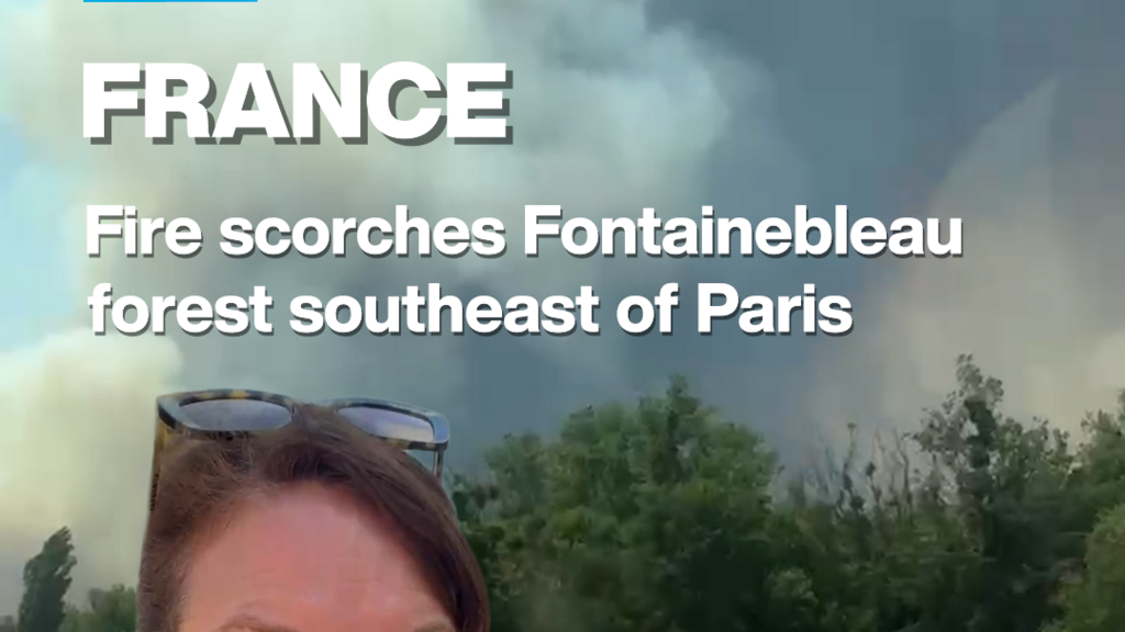 France: Fire scorches Fontainebleau forest southeast of Paris