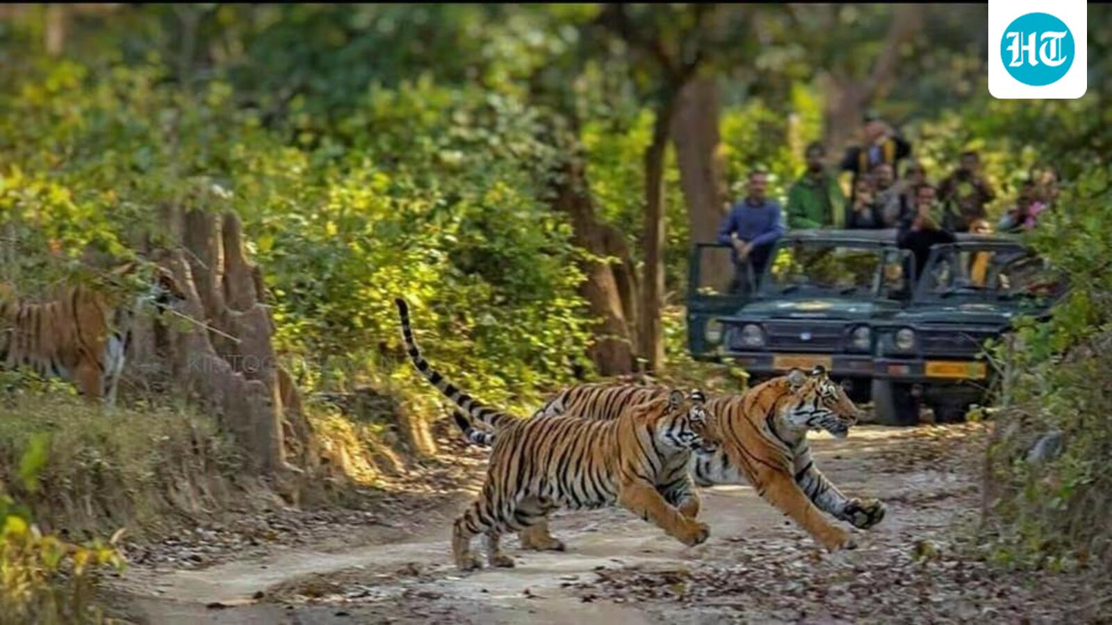 Corbett Tiger Reserve to ban plastic water bottles across all zones from October