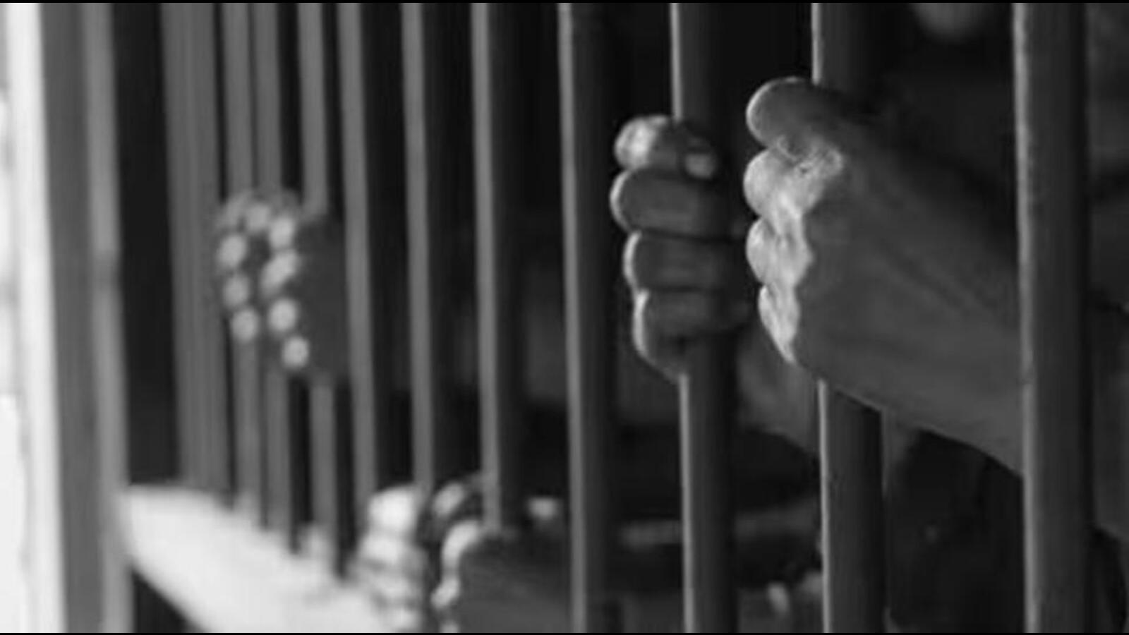 Tripura: 16 held under NDPS Act, 896 kg cannabis, heroin seized in 10 days