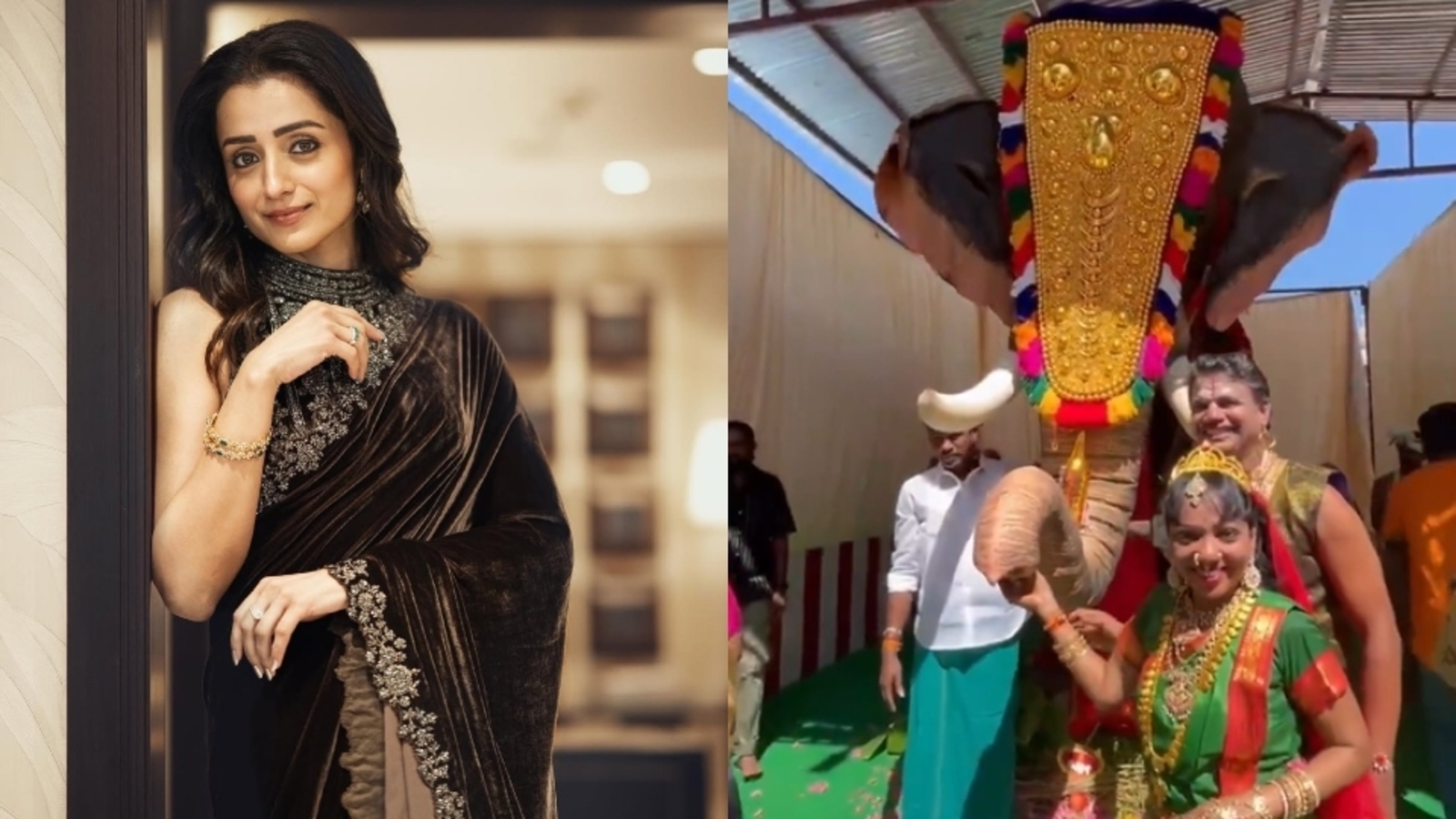 Trisha Krishnan donates lifelike mechanical elephant called Gaja, vegan meals to temples in Tamil Nadu
