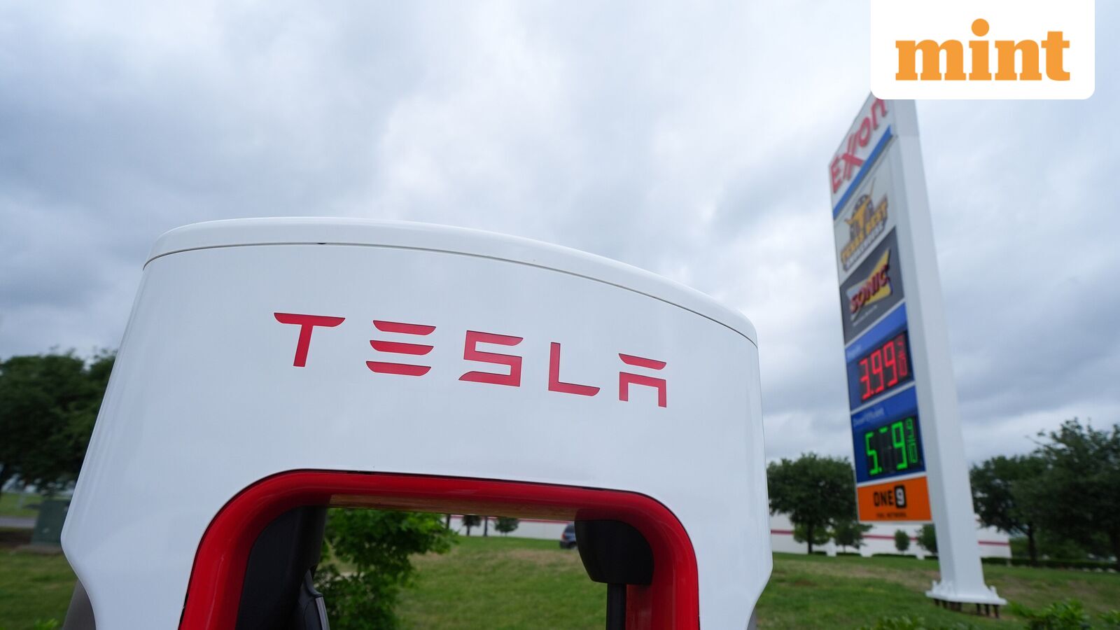 Tesla is preparing to launch six-seater model Y variant in India