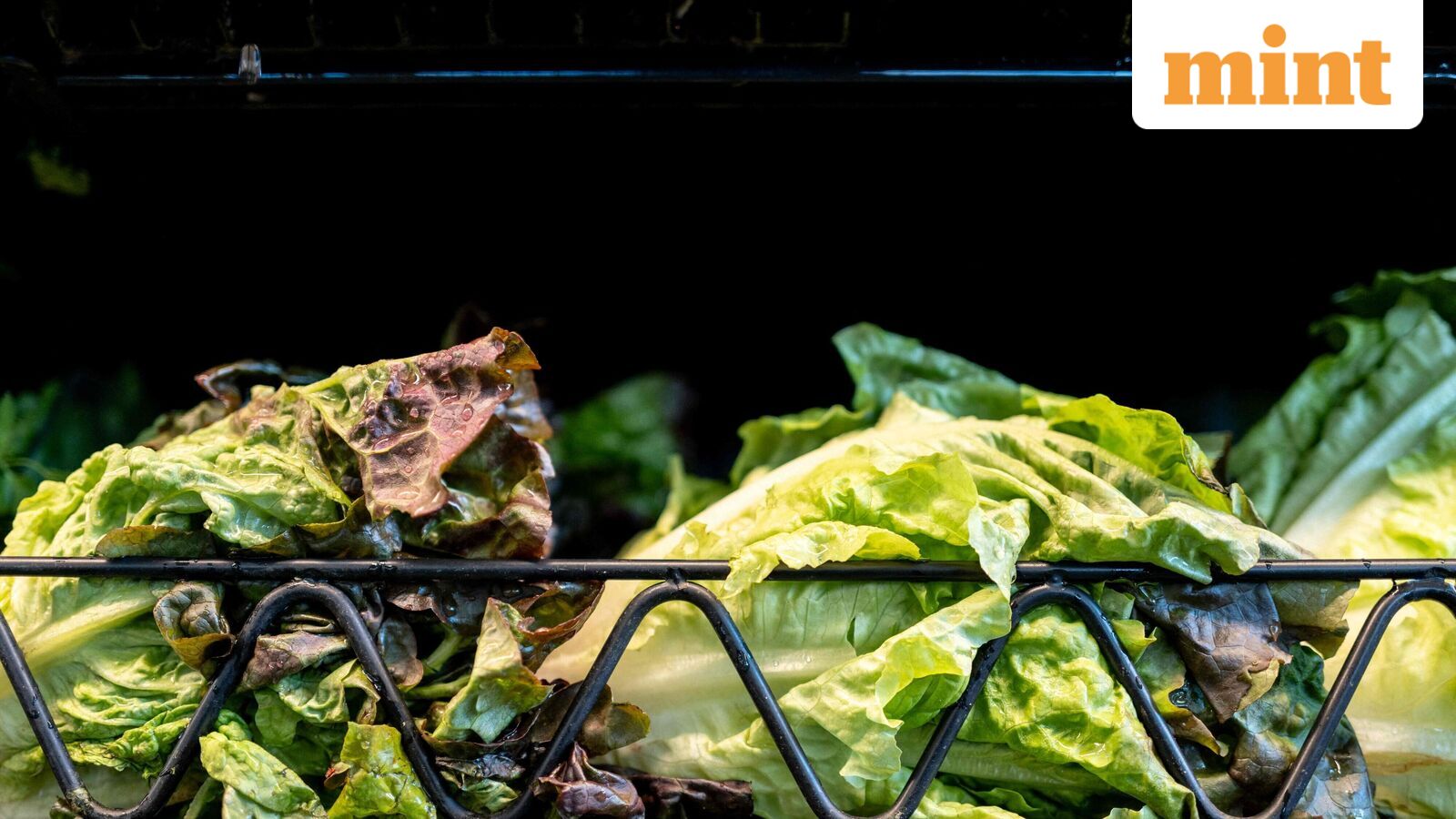 Cyclospora outbreak: What is causing the explosive diarrhea in US, can it be prevented, and is there a risk for India?