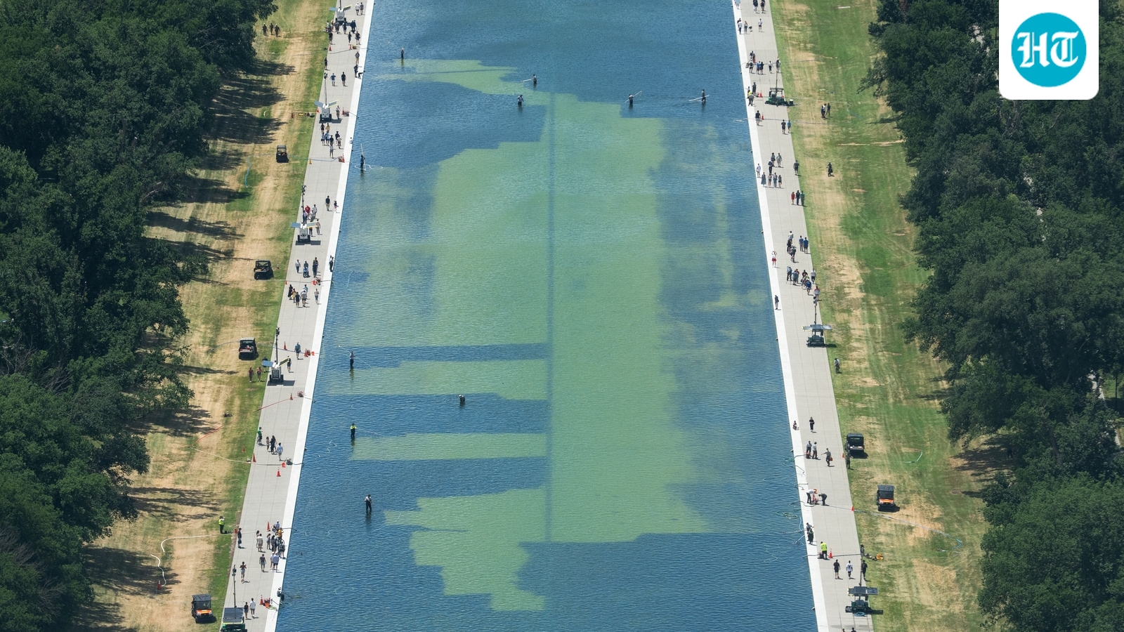 Outrage erupts over dead duck in Lincoln Memorial reflecting pool following Trump's $14M renovation and chemical cleanup
