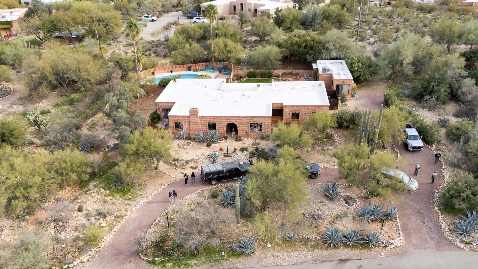 Why are police searching Nancy Guthrie's roof? Neighbour offers key information