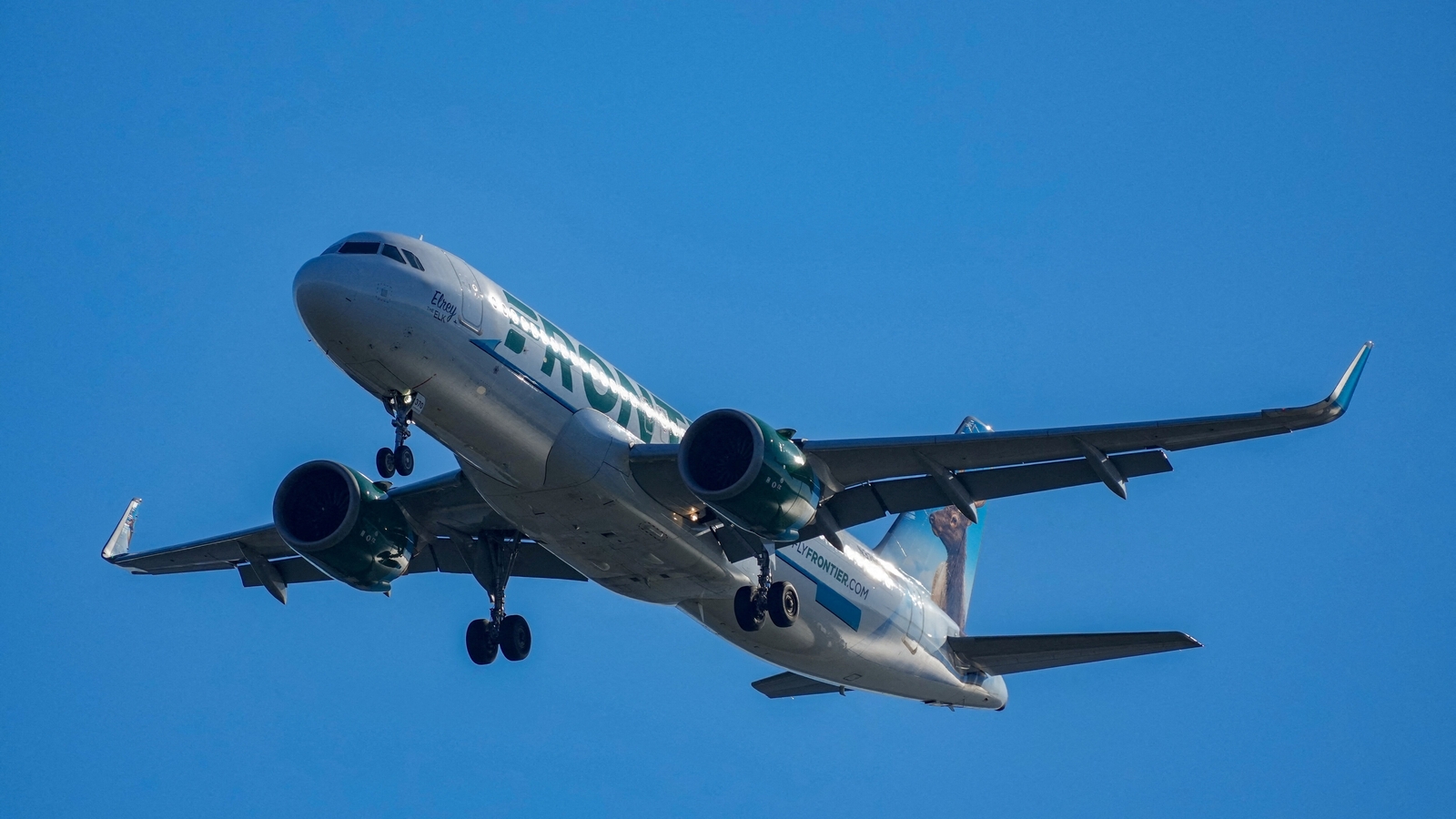 Denver airport tragedy: Pedestrian dies after being hit by Frontier Airlines plane, ‘We just hit somebody’