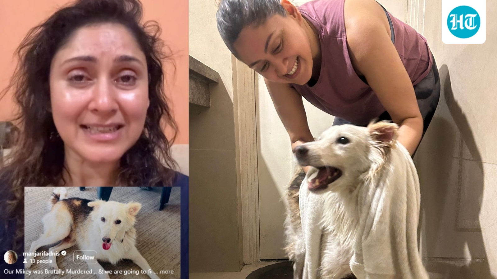 Actor Manjari Fadnnis seeks justice after her Mumbai society's dog suffers brutal death: 'How can someone do this?'