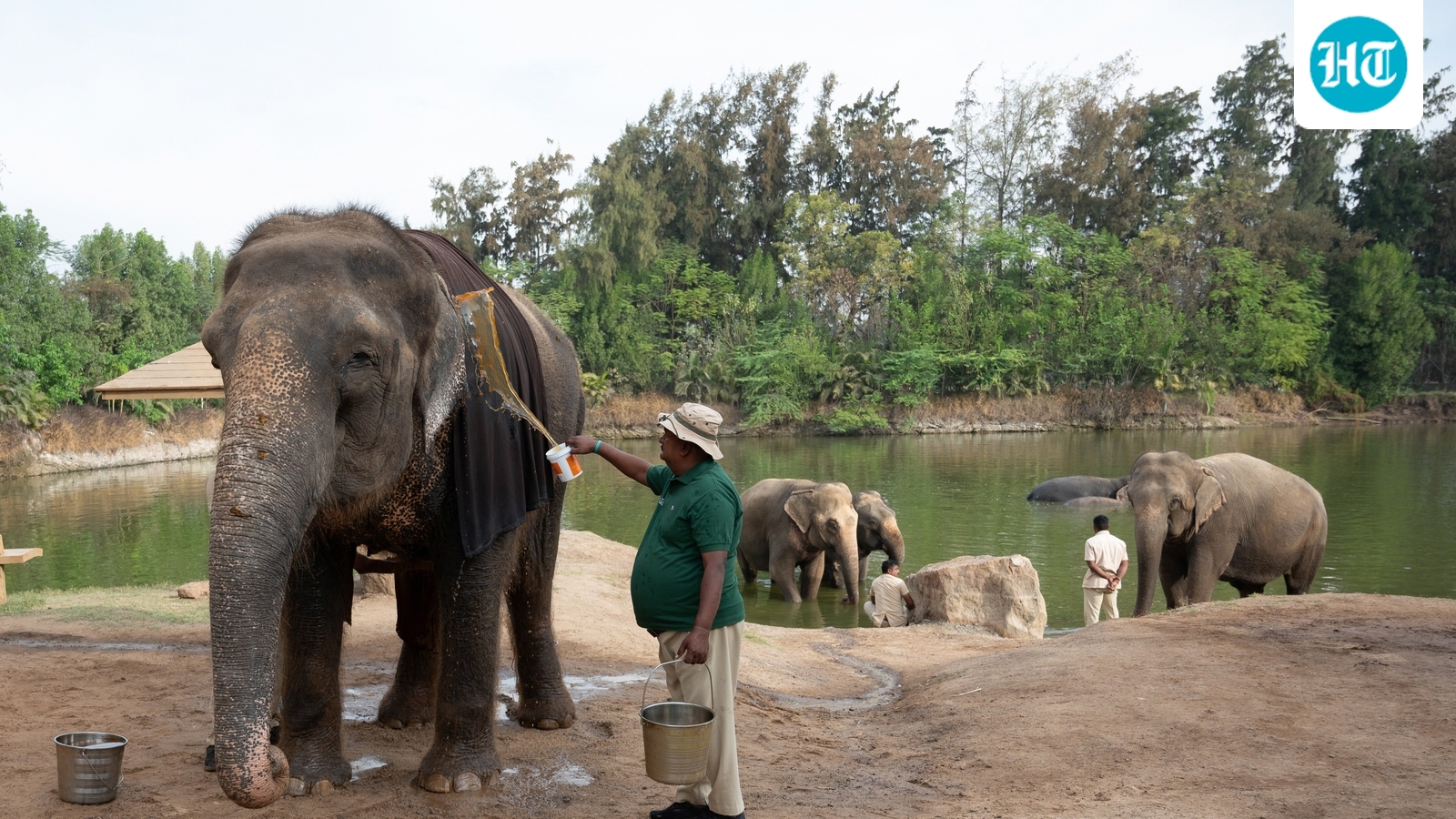 Anant Ambani gets animal welfare award